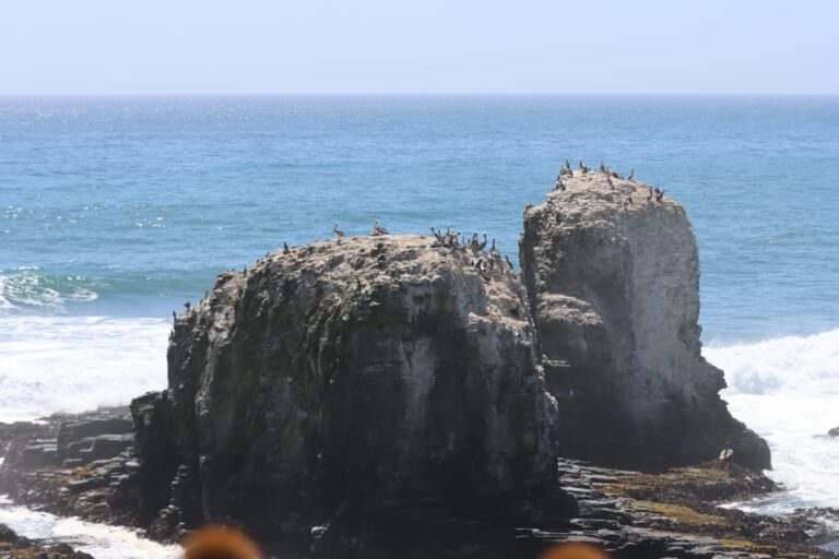 e64c6555-8b8a-4d5b-8313-a7a69b37c32d